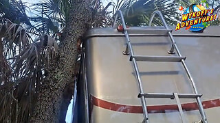 Class A Motorhome Takes on a Tree! Plus, Moving our RV Again