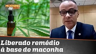 Entenda a decisão da Anvisa sobre medicamentos à base de maconha