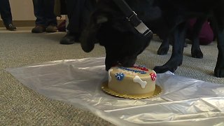 K-9 hanging up his badge with the US Marshals