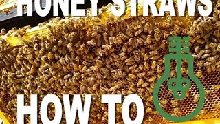 HONEY STRAWS how to - Life Done Free