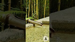 Relaxing Bamboo Water Feature 🎋 Japanese Tea Garden, San Francisco (Calming Piano & Water Sounds)