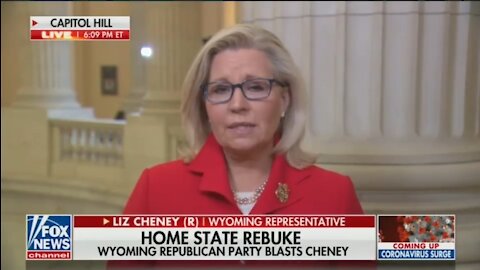 Liz Cheney Claims Trump Was Urging People To Fight Like Hell