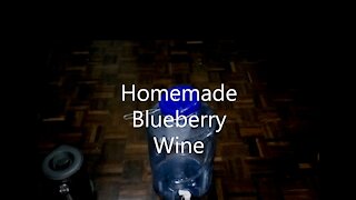 Homemade Blueberry Wine—Huge Money Saver