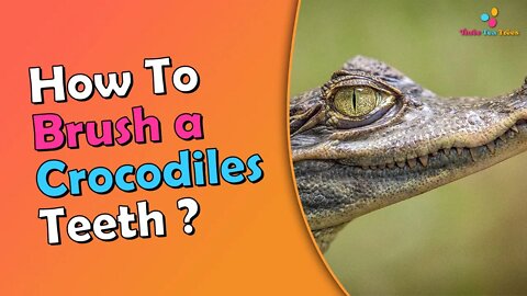 Watch These Toddlers Brush a Crocodile's Teeth and Try Not to Panic