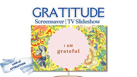 Gratitude Everyday ❤️ Expressing Thanks to the Universe #Gratitude #DailyGratitude #Universe #thanks