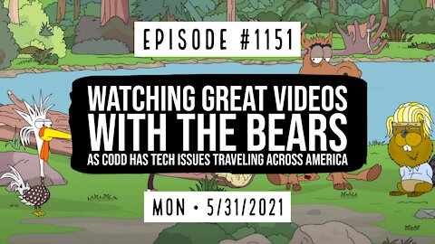 #1151 Watching Great Videos With The Bears As Codd Has Tech Issues Traveling Across America