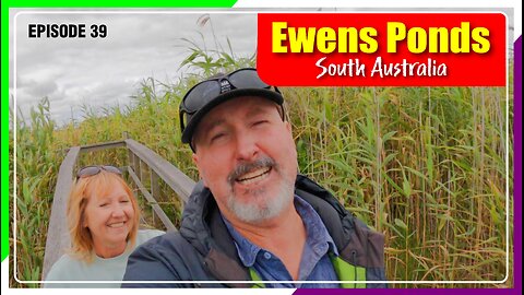 Ewens Ponds
