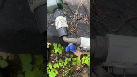 Dogstead Update: Irrigation setup explained