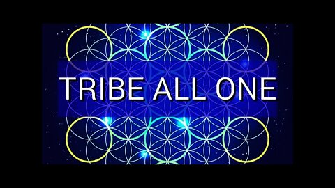 TRIBE ALL ONE | Find your Tribe | Build our future | Stay in balance