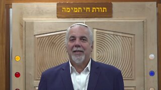 Torah Insights: Wisdom from the Weekly Torah Portion - Bereshit