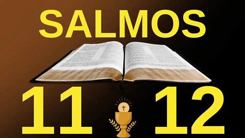 Salmos 11 y 12 - Poderosos Salmos de la Biblia 🙏🙏