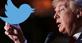 Илон Макс не дал доступ к аккаунту Трампа Twitter Джеку Смиту