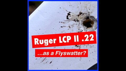 Shooting Flies with Ruger LCP II .22 LR