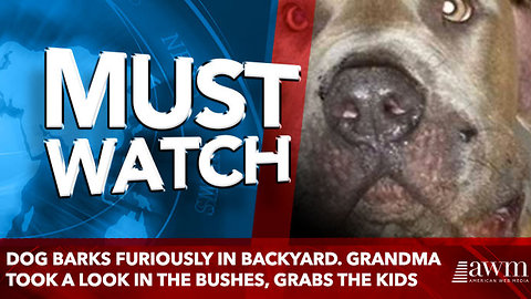 Dog barks furiously in backyard. Grandma took a look in the bushes, grabs the kids