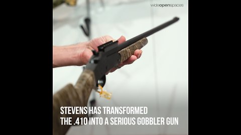 Gun Profile: The Stevens 301 Turkey
