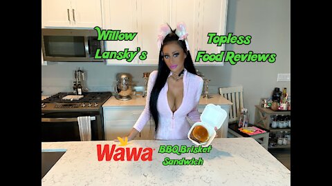 Willow Lansky's Topless Reviews Wawa's BBQ Brisket Sandwich