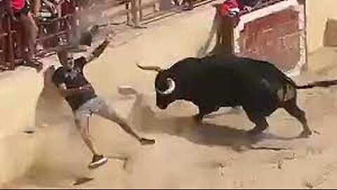 Horror moment tourist gored by raging bull after 'jumping on its back