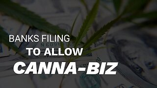 Over 800 Banks Embrace Cannabis Businesses! 💼🌿