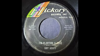 Roy Acuff – I'm Planting a Rose