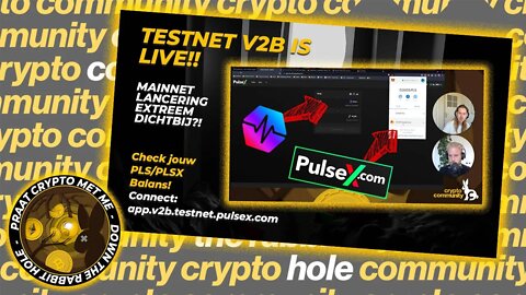 Check jouw PLS/PLSX saldo! | PulseChain Testnet v2b live