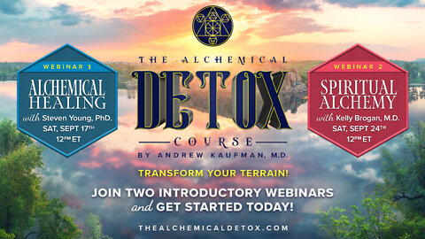 Transform Your Terrain For Long Term Health: Alchemical Detox Course by Andrew Kaufman, M.D.