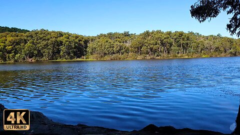 Tranquil Lake Meditation: Reduce Stress with Nature Sounds & Piano