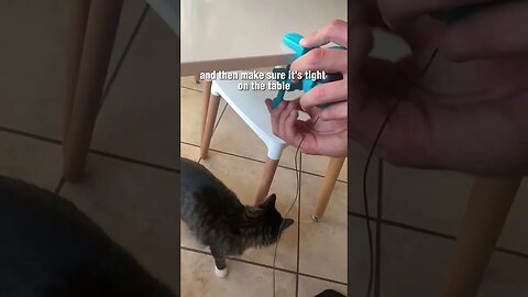 Best Cat Toy of 2023