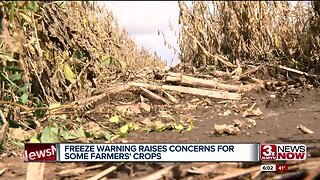 Freeze Concerns for Crops