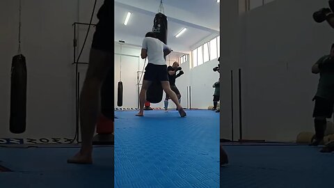 Kick, punch, Elbow and Knee The Bag (39)