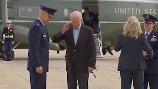 Biden Gets Attacked By Cicadas