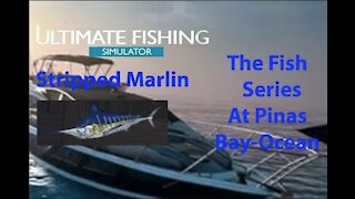 Ultimate Fishing Simulator: The Fish - PinasBay Ocean - Stripped Marlin - [00045]