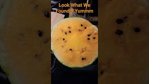 LOOK WHAT WE FOUND | YELLOW MEAT WATERMELON #texas