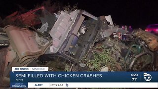 Truck carrying frozen chickens crashes in Alpine