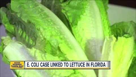FL reports illnesses linked to romaine lettuce