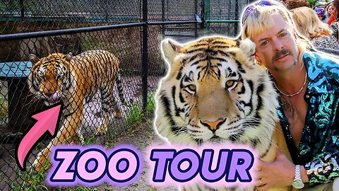 Joe Exotic Tiger King | The Greater Wynnewood Exotic Animal Park or G W Zoo