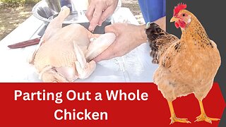 How to Part Out a Whole Chicken | Chicken Butchering