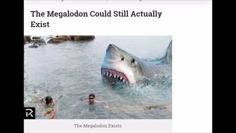 The Megalodon Could Still Actually Exist Paranormal News