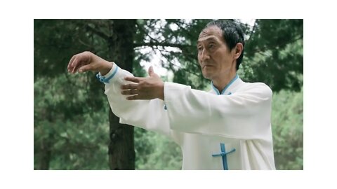 TAI CHI VIDEO MEDITATION 2022