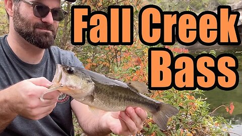Fall Creek Bass Ultralight Fishing - Micro Finesse 2" Slim Shad Minnow