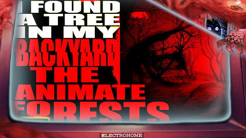 I Found A Tree In My Backyard : The Animate Forests | Creepypasta