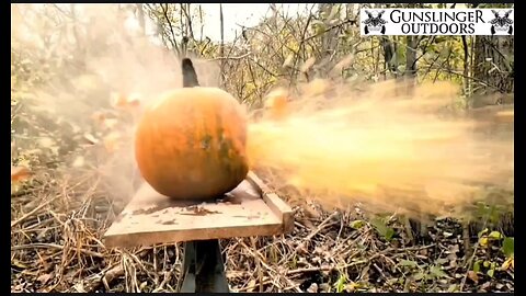 Guns Vs Pumpkins |Youtube Took It Down Twice