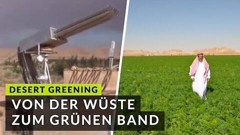 Das ist Desert Greening! Das ist unsere Vision - Von der Wüste zum grünen Band 🌍 (Umweltheilung!)