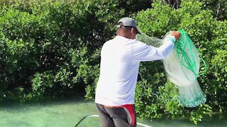 MUST WATCH!!!...Using GIANT NET-TRAP to CAPTURE COLORFUL FISH for FEEDING!