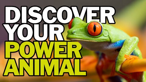 Discover Your Power Animal