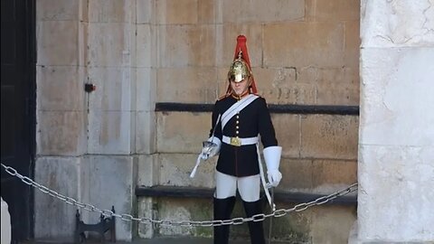 tourist's trying to make the kings guard laugh #horseguardsparade