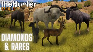 Diamond & Rare Montage #2 theHunter: Call of the Wild (PS5 4K)