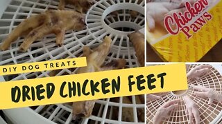 Dried Chicken Feet DIY Dog Treats