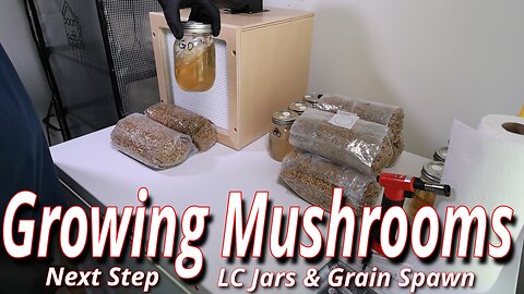 Growing Mushrooms: Making LC Jars & Grain Spawn