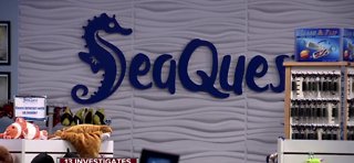 Investigation into SeaQuest -- Part 2