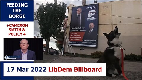6:00pm 17 Mar 2022 - Feeding the Borgi (Cameron Smith & Policy 4): LibDem Billboard, Ascot Vale